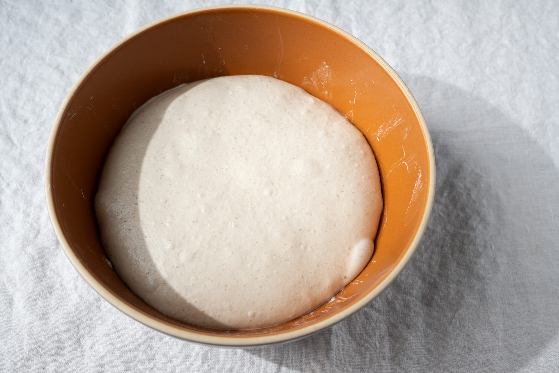 Sourdough pizza al taglio dough at the end of bulk fermentation.