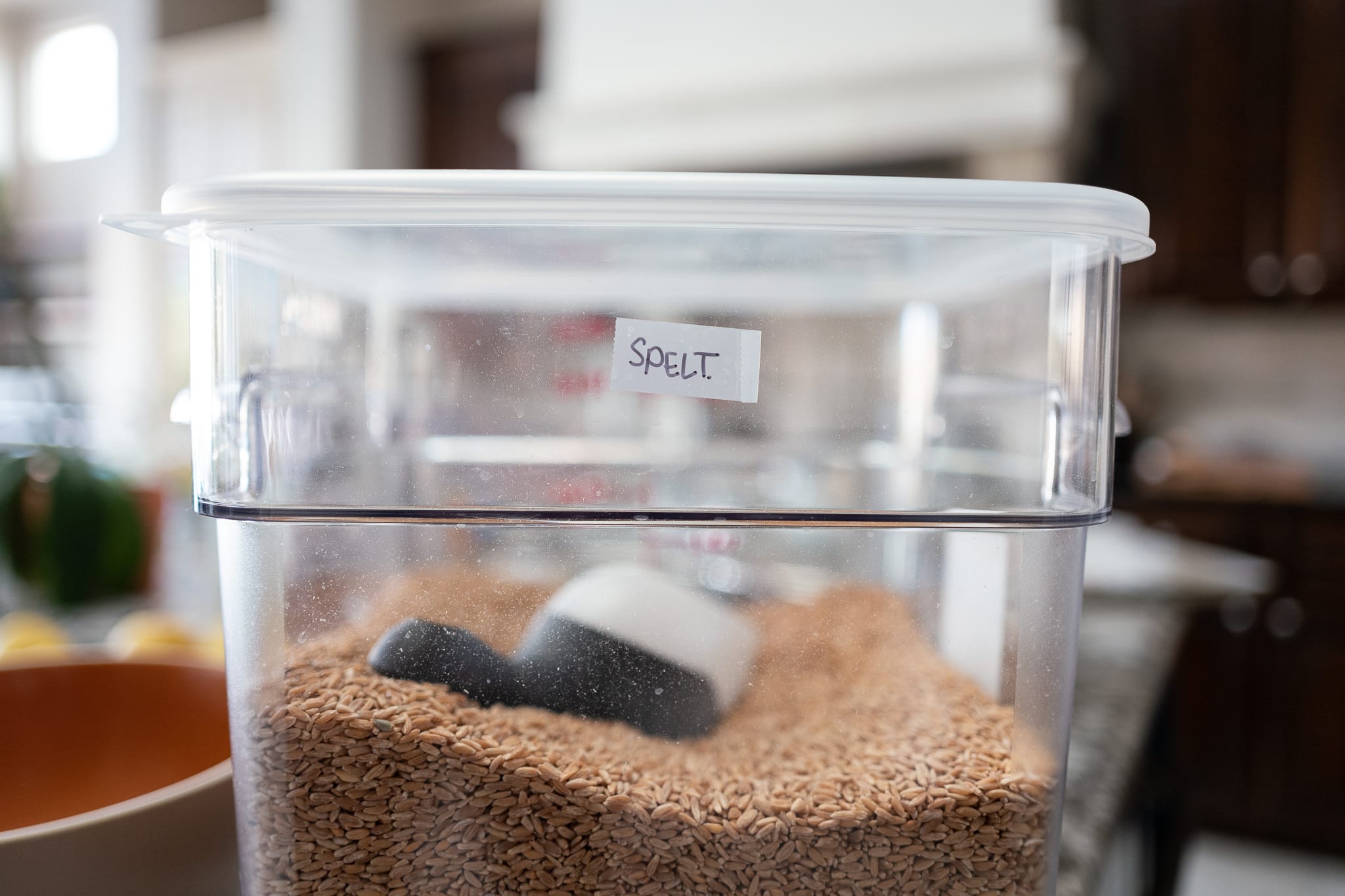 Baking Containers to Keep Your Goods Fresh [Including a Flour Container]