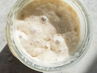 Ripe sourdough starter