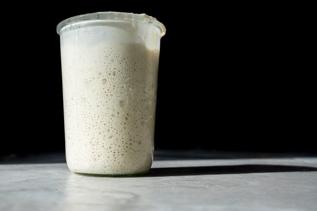 How do I feed my sourdough starter?