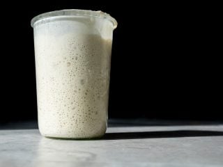 How do I feed my sourdough starter?