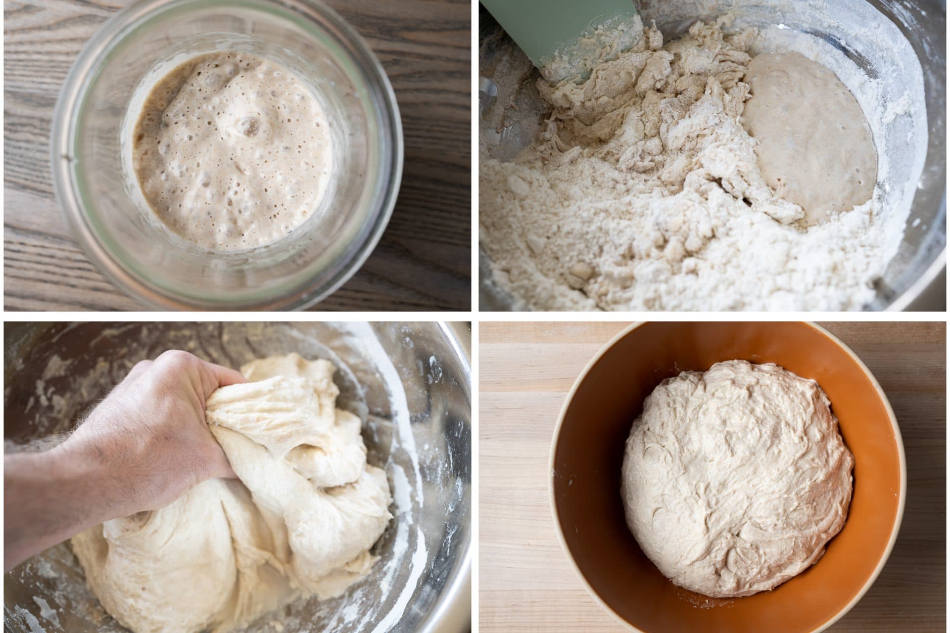 Sourdough starter and mixing