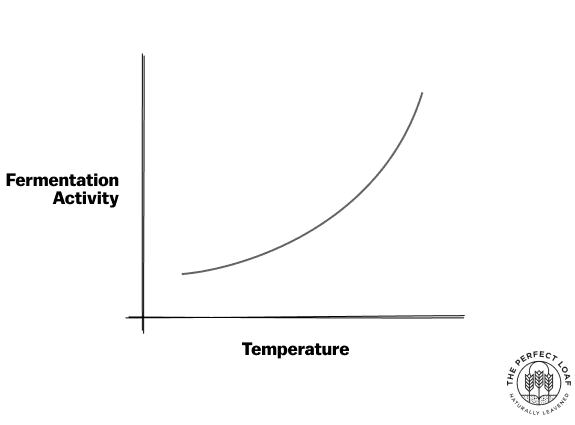 Fermentation activity increases with temperature