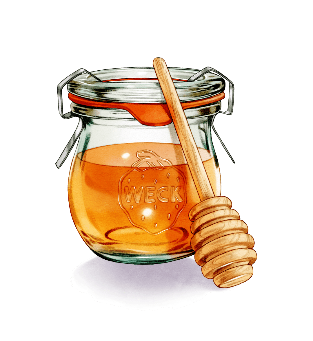 Illustration of honey in Weck jar