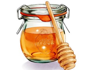 Illustration of honey in Weck jar