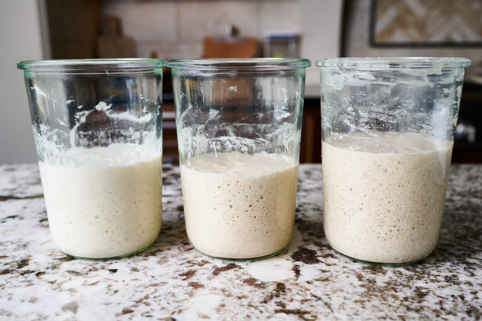 21 common sourdough starter problems with solutions