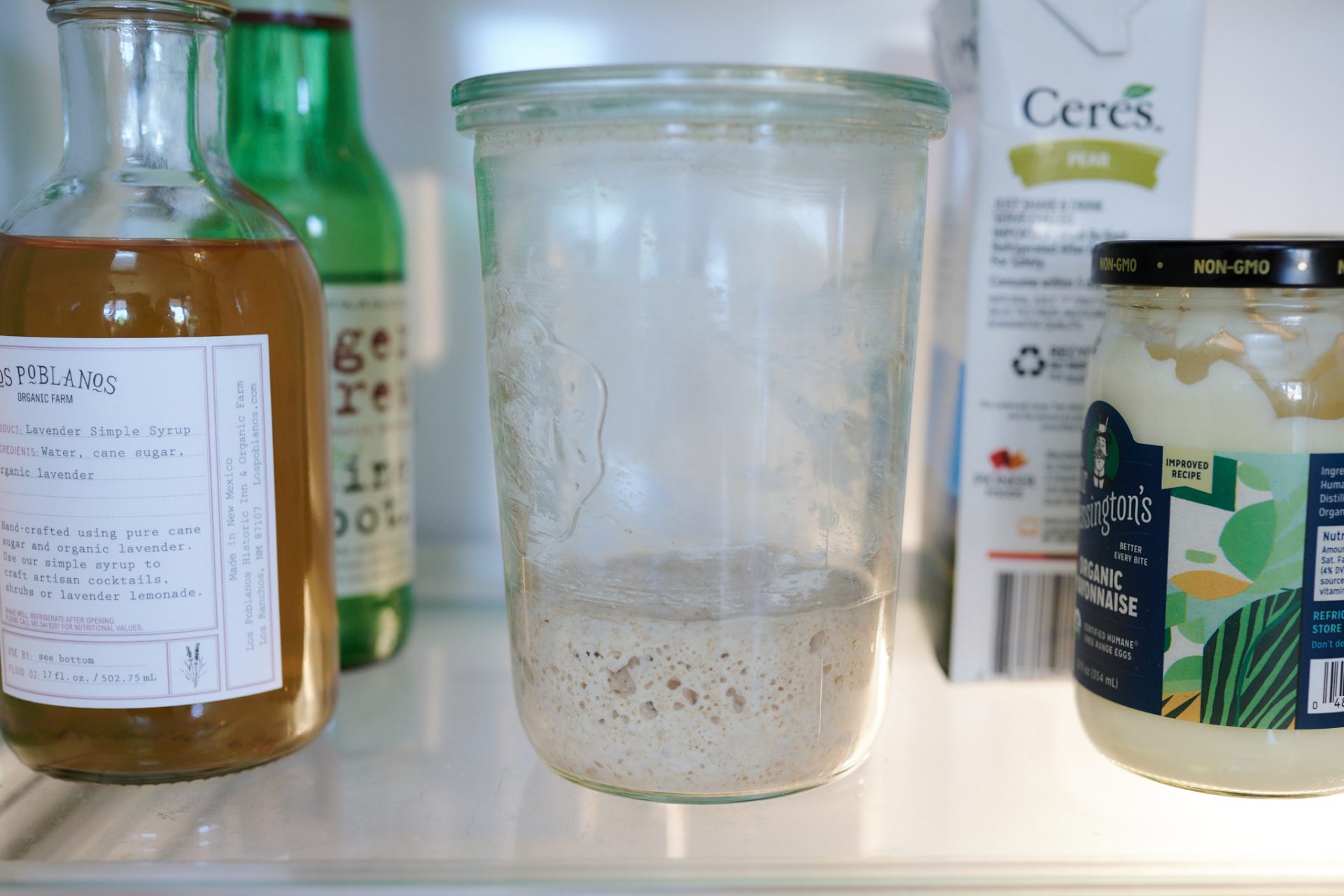 Storing sourdough starter in the fridge