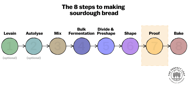 8 steps to making sourdough bread proofing selected