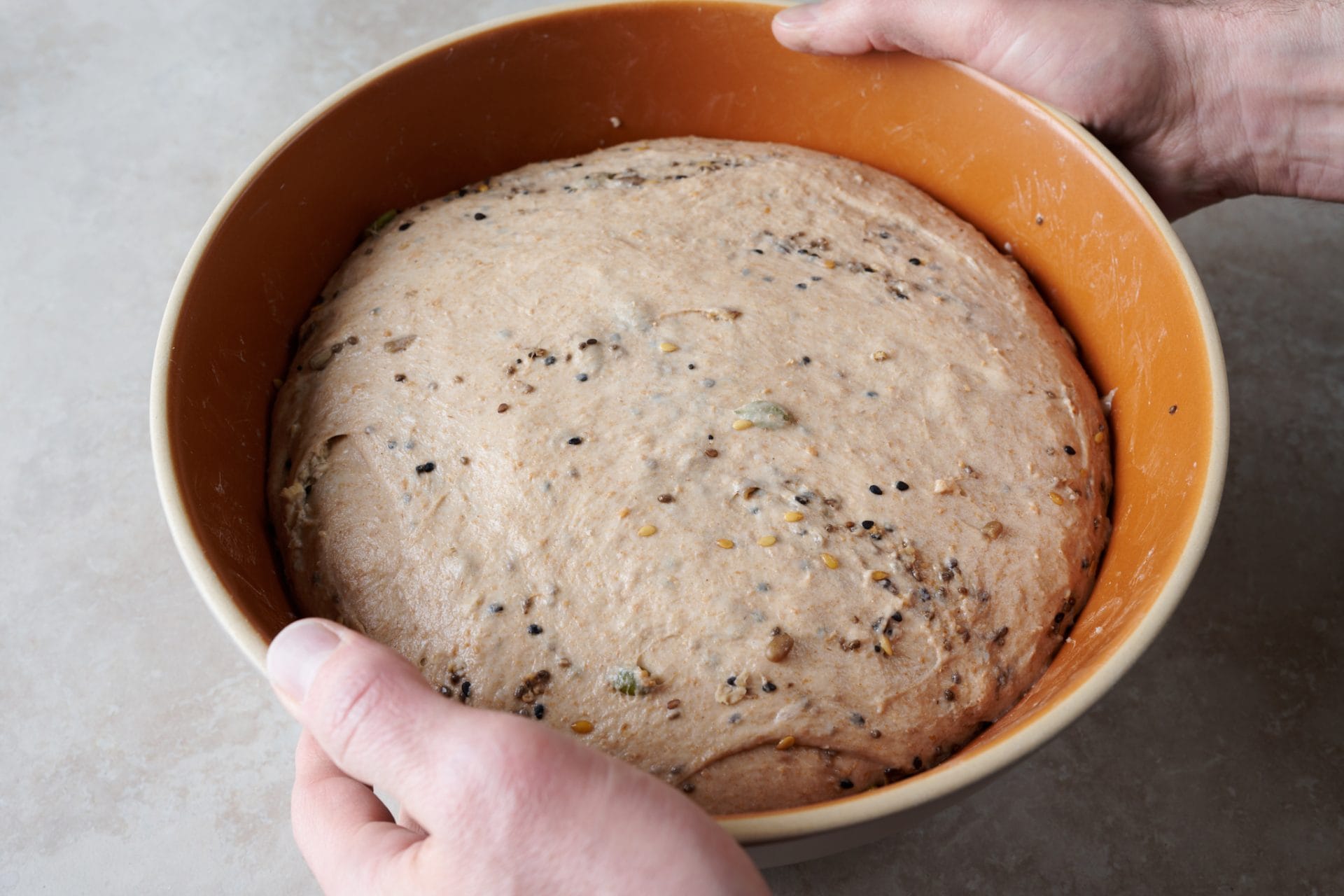 Seeded sourdough bread dough at end of bulk fermentation