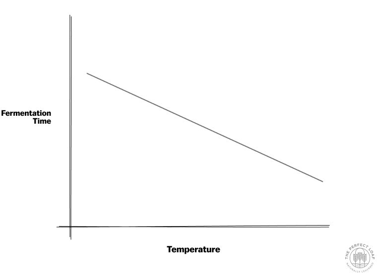 Ultimate Guide to Proofing Fermentation Time versus Dough Temperature