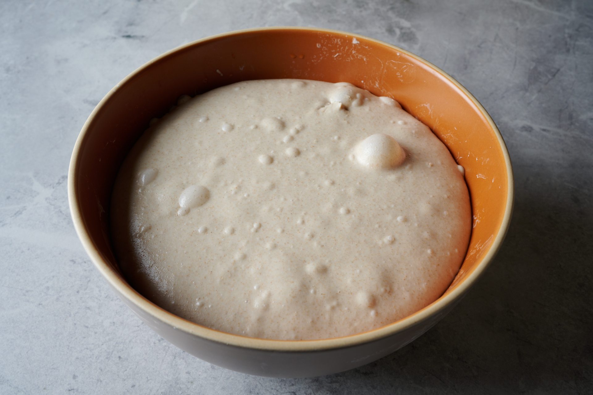 The Perfect Loaf Custom Bread Flour Dough Bulk Fermentation