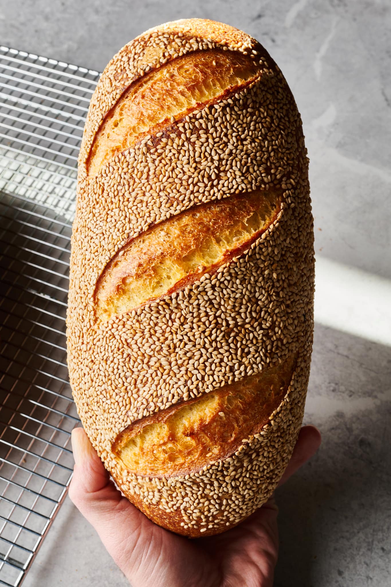 Pane Siciliano made with durum wheat and topped with sesame seeds.