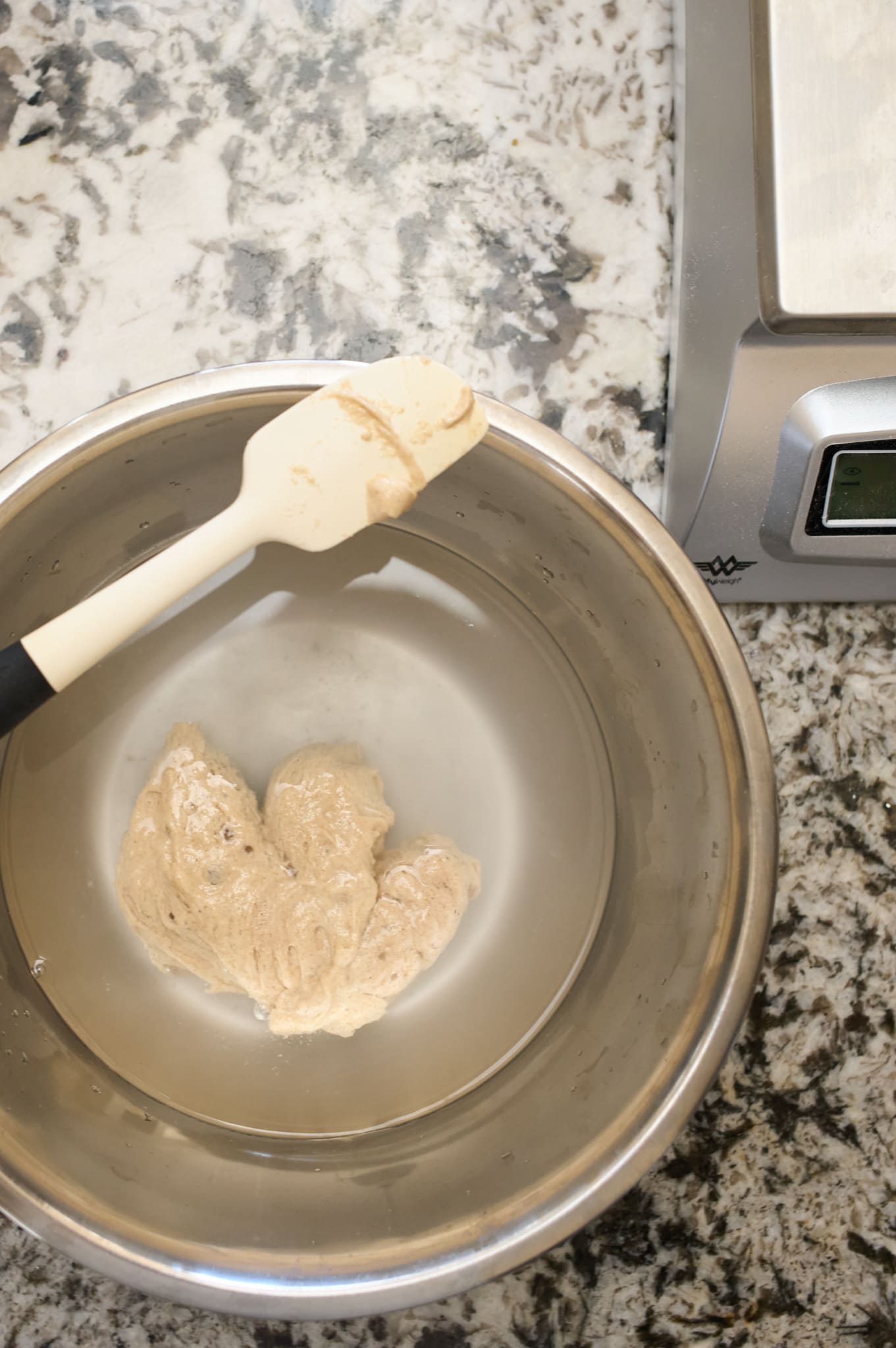 Dissolving the sourdough starter in water.