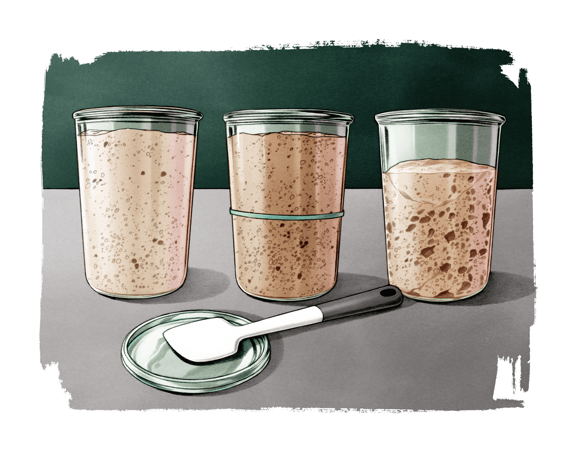 Sourdough starter jars