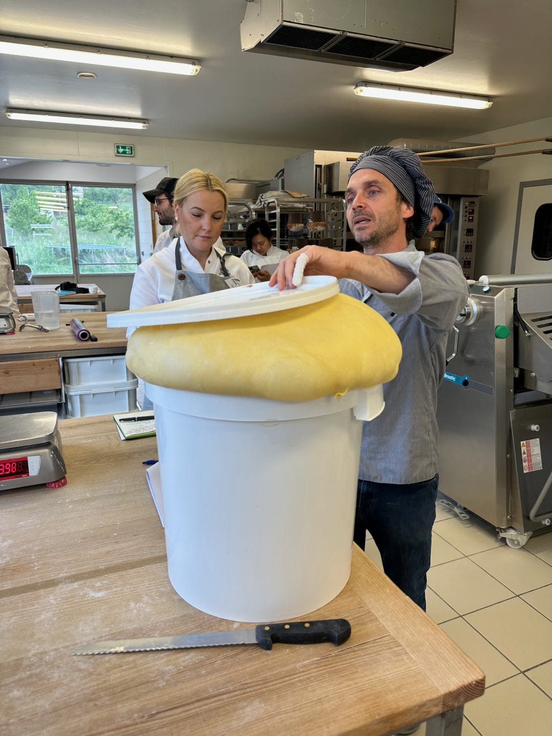 Panettone first dough after fermentation.