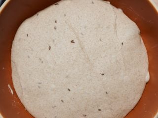 Light deli rye dough at end of bulk fermentation.