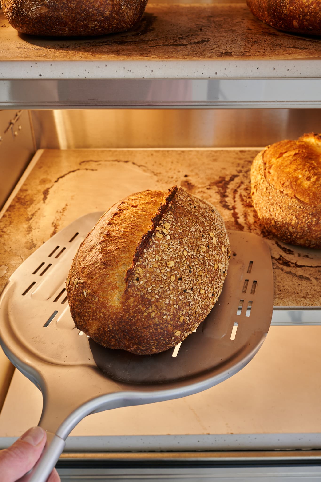 Baked sourdough bread inside RackMaster bread oven