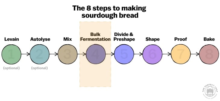Diagram showing the 8 steps to making sourdough bread with bulk fermentation highlighted.