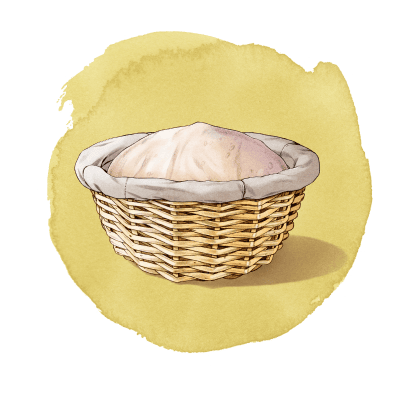 Proofing sourdough bread dough guide illustration