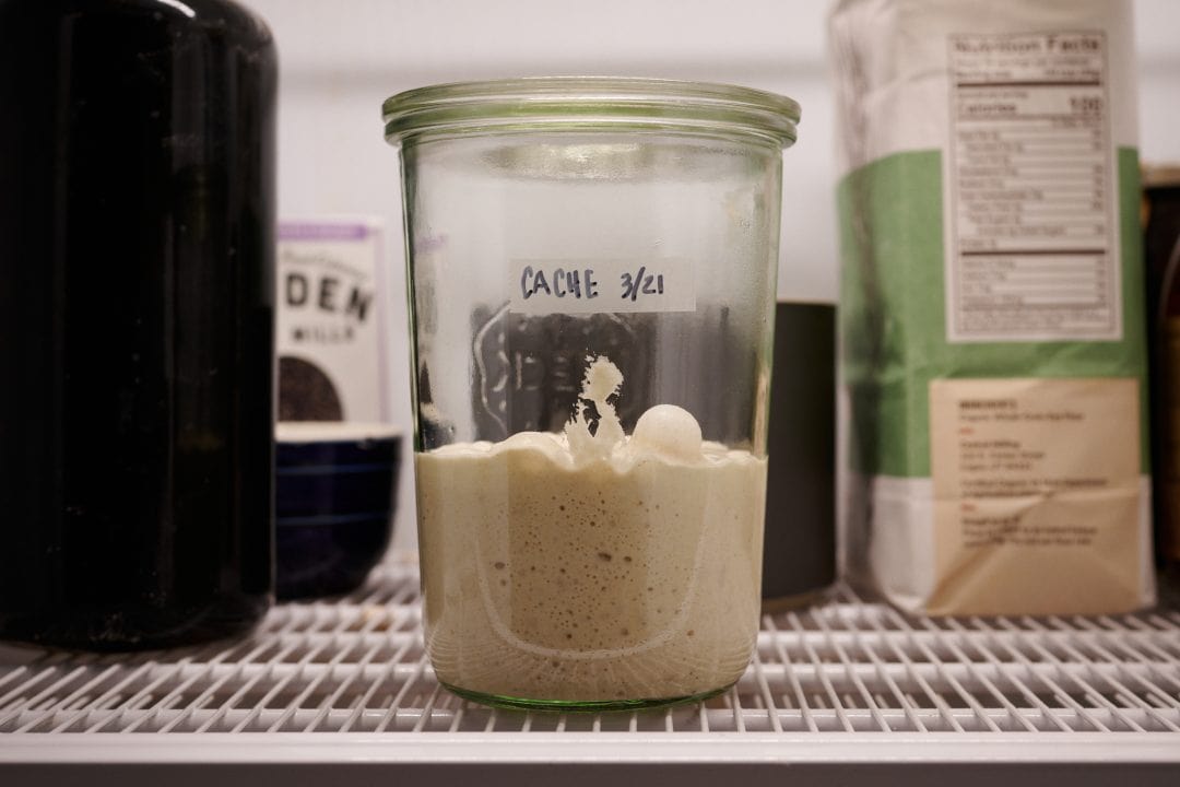 Sourdough starter cache in refrigerator.