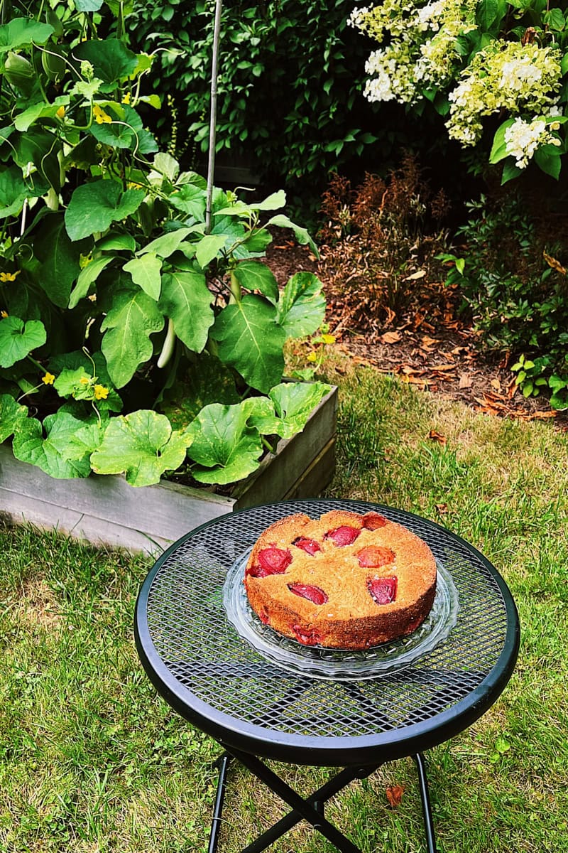 Baked sourdough discard plum cake on a table.