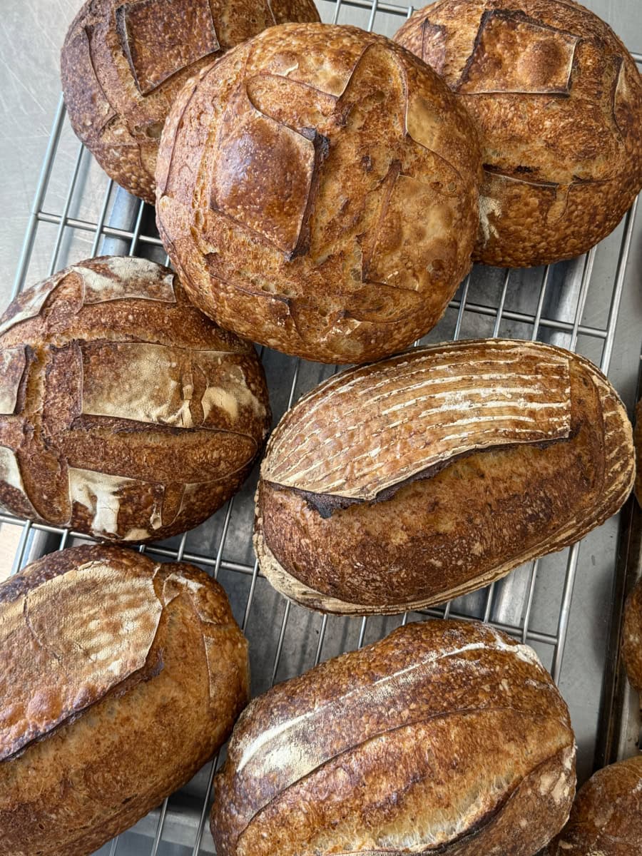 A Travelogue: Bread, Panettone, Pasta, and Cheese in Northern Italy | The Perfect Loaf