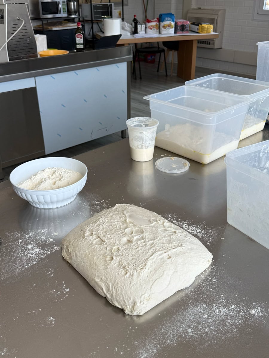 A Travelogue: Bread, Panettone, Pasta, and Cheese in Northern Italy | The Perfect Loaf