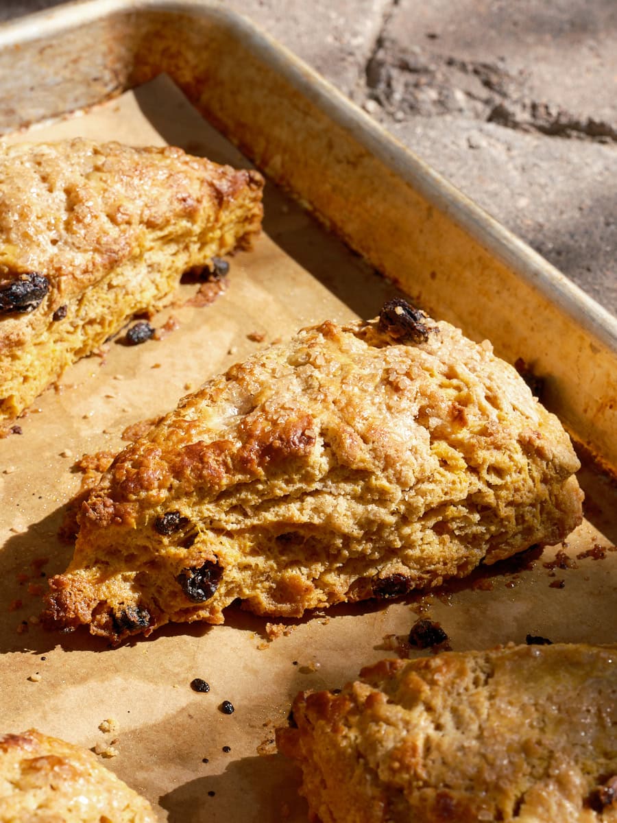 Einkorn Sourdough Pumpkin Scones | The Perfect Loaf