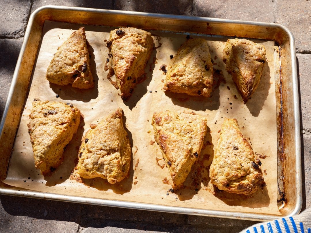 Sourdough pumpkin scones on a baking sheet.