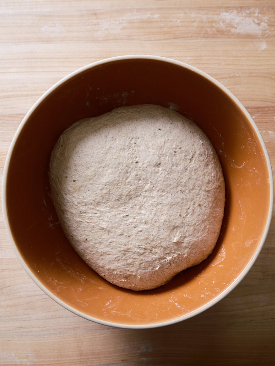 Scalded buckwheat and malt sourdough at the start of bulk fermentation.