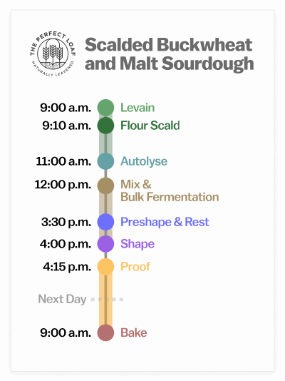 Scalded buckwheat and malt sourdough bread baking schedule.