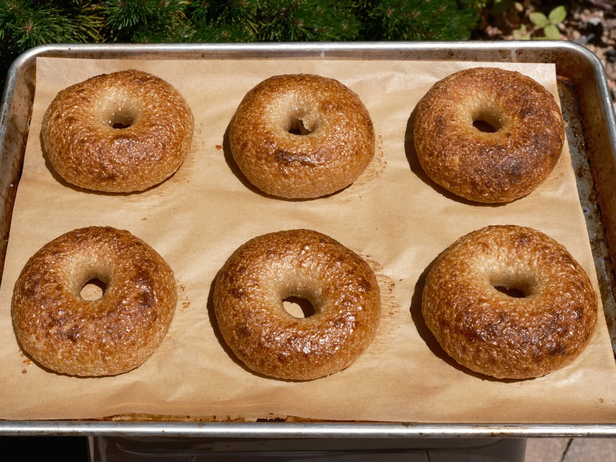 Crispy and Chewy New Wave Sourdough Bagels (With Video) | The Perfect Loaf
